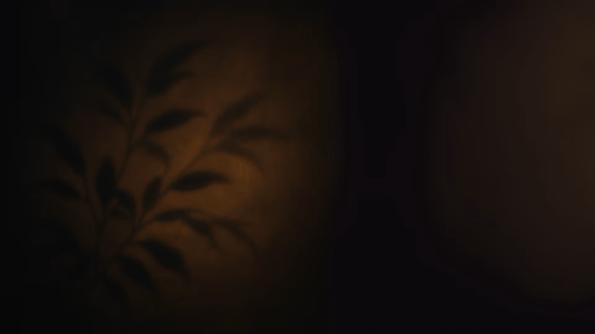 [background image] image of a dance studio interior (for a dance studio)