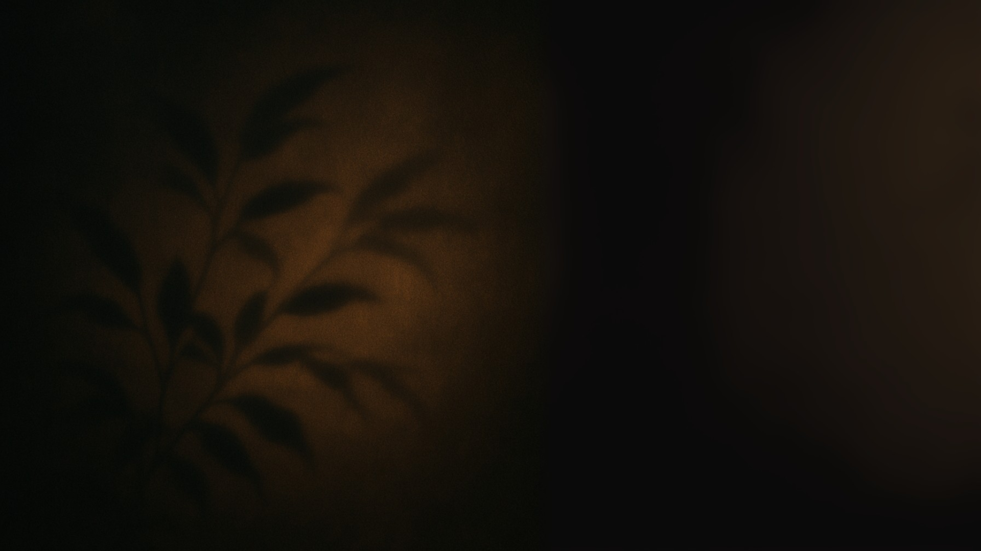 [background image] image of a dance studio interior (for a dance studio)